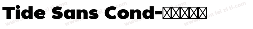 Tide Sans Cond字体转换